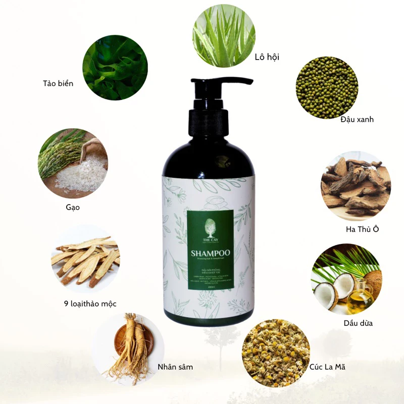 Đậu xanh organic